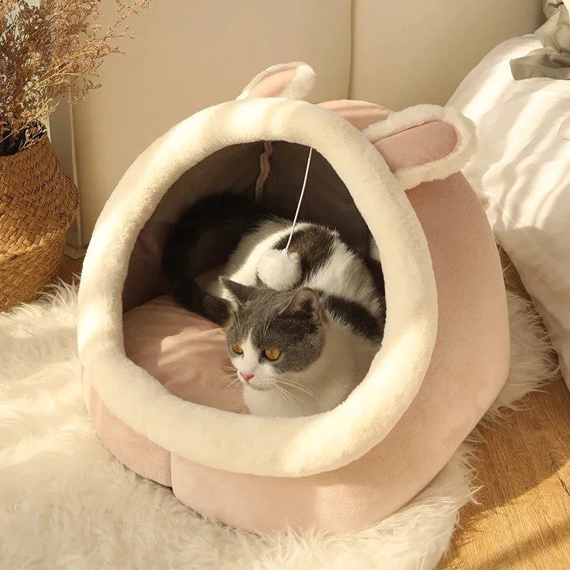 Chat mignon cachant un lit de maison confortable et chaleureux - DreamStore360