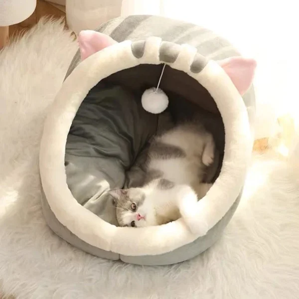 chat mignon cachant un lit de maison confortable et chaleureux 5