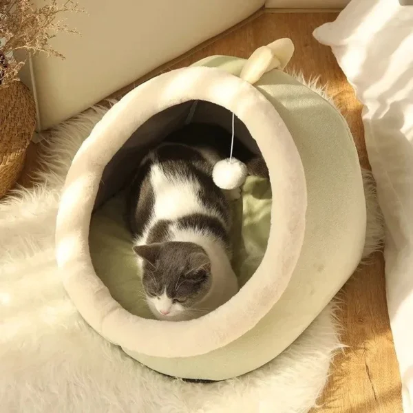 chat mignon cachant un lit de maison confortable et chaleureux 6