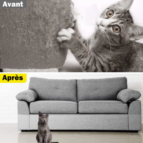 protecteurdemeublepourchat