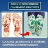 chaussettes pour reflexologie plantaire